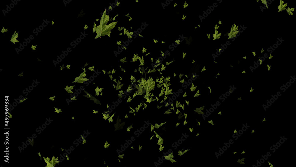 Abstract green maple leaves sway in the wind. Maple leaves fly in the night sky in summer. 3D. 4K. Isolated black background. Abstract green maple leaves sway in the wind. Maple leaves fly in the night sky in summer. 3D. 4K. Isolated black background.