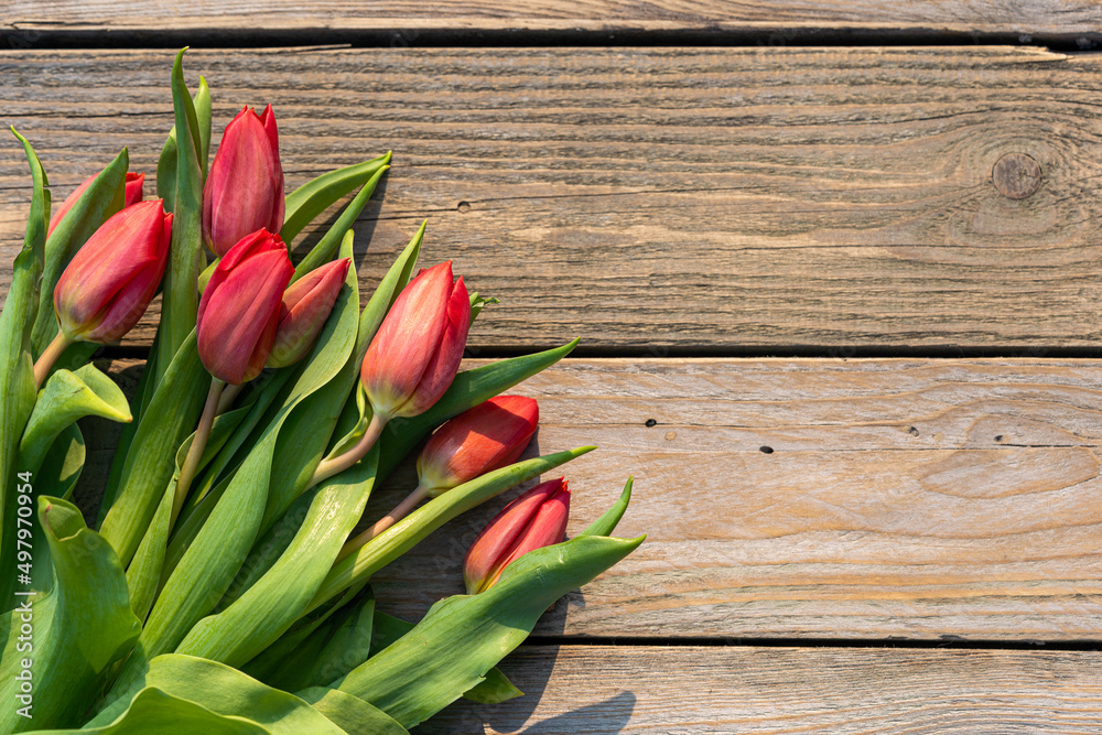 bunch of red tulips on wooden background