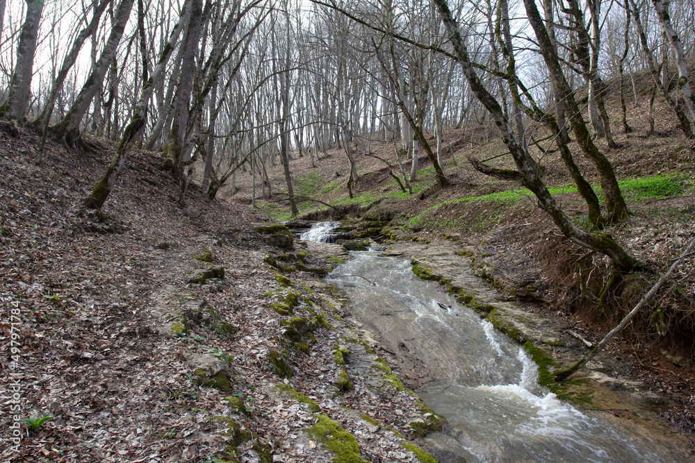 spring morning on a mountain river, awakening in nature and the birth of a new life.* spring morning on a mountain river, awakening in nature and the birth of a new life.*