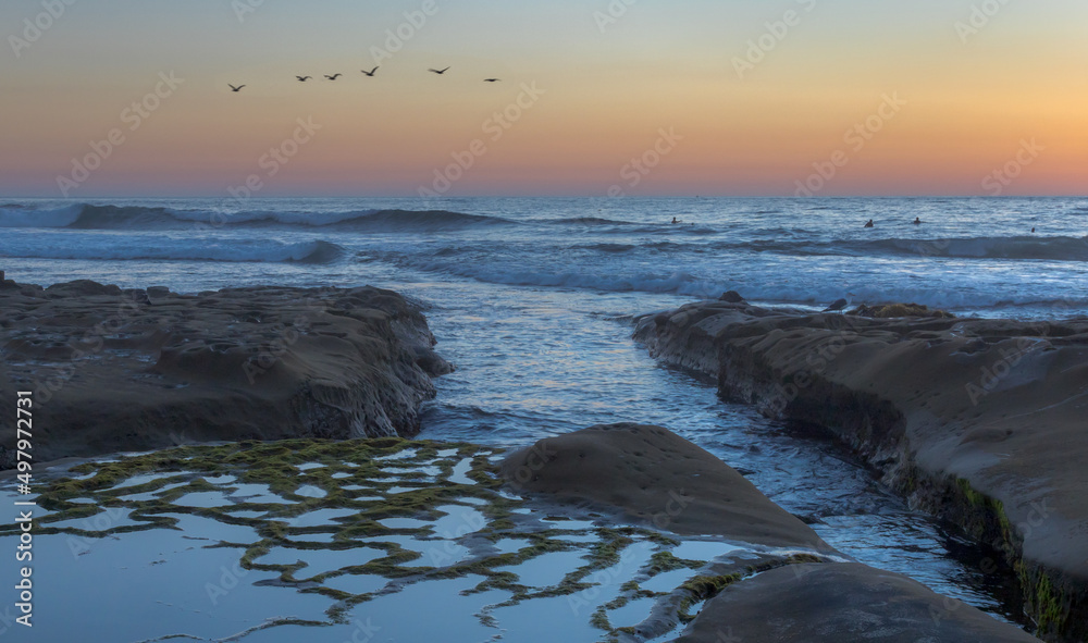 california seashore at dusk with tidepools and pelicans in flight