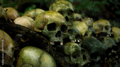 Many green human skulls and bones lying on the ground in the forest, covered in moss in an old abandoned cemetery © Nicolas Gregor