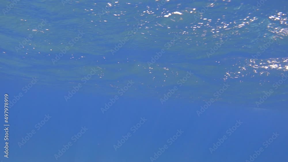 Sea waves underwater. Sea water surface, slow motion Sea waves underwater. Sea water surface, slow motion