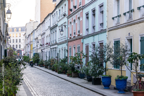 Deserted Parisian street with rows of potted trees