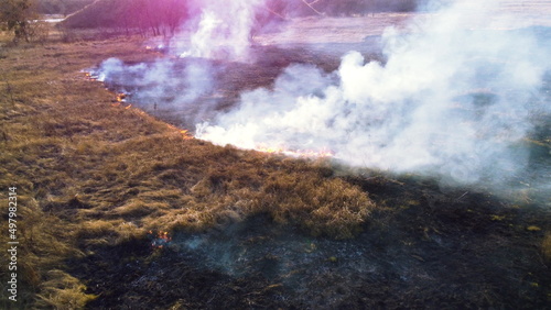 Aerial Drone View Over Burning Dry Grass and Smoke in Field. Flame and Open Fire. Top View Black Ash from Scorched Grass, Rising White Smoke and Yellow Dried Grass. Ecological Catastrophy, Environment