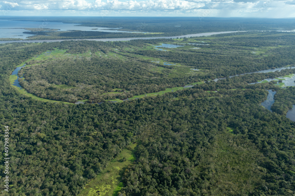 Aerial photo of the Amazon rainforest and the Amazon River basin in Brazil.