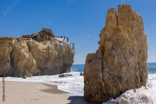 Birds sitting on rocks at the beach on the Pacific Ocean 