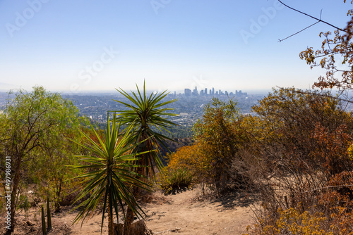 Panorama view from Hollywood Hills over whole Los Angeles with palm trees in the foreground