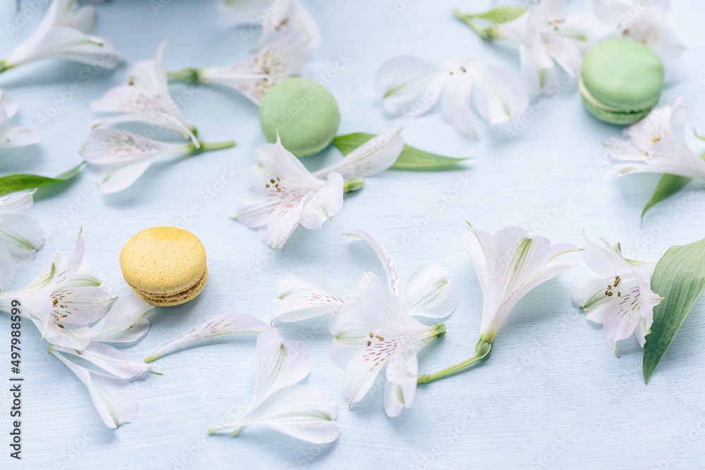  spring background flower petals and sweet macaroon cookies on a light blue background.
