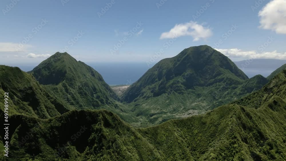 Drone view on the evergreen valley between mountains on island of Maui, aerial footage of ocean and jungle, Hawaii, USA
