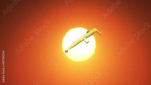 3D rendering Chinese dragon move pass camera to the full sun with heat haze effect.
