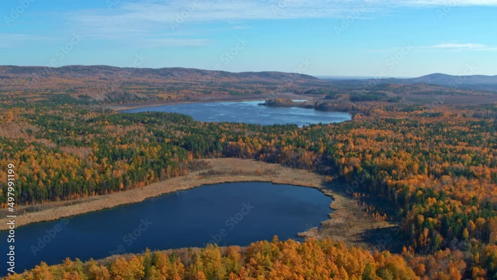Aerial view of the autumn forest around the lake Aerial view of the autumn forest around the lake