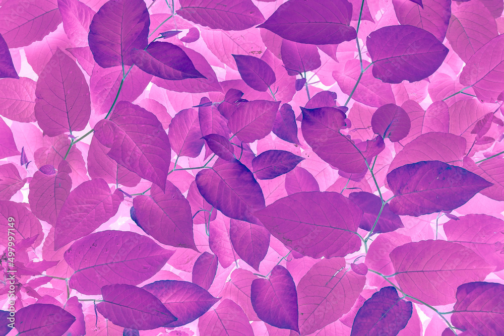 Vivid purple blue leaves pattern. Blue gradient colored filter. Vivid purple blue leaves pattern. Blue gradient colored filter.