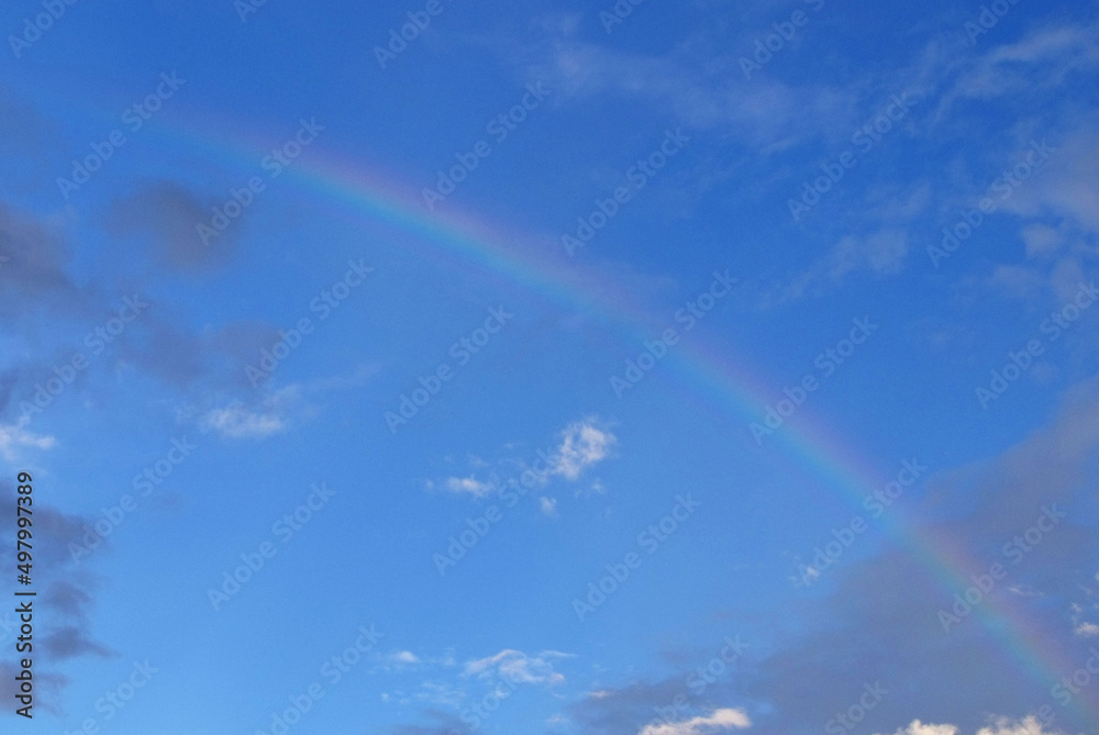 rainbow is a meteorological phenomenon that is caused by reflection, refraction and dispersion of light in water droplets