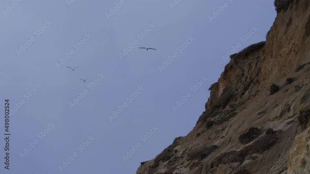 Birds flying by cliffs blue sky San Diego in slowmotion Birds flying by cliffs blue sky San Diego in slowmotion