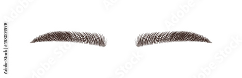 Sable style eyebrows. Permanent make-up and lamination. Brow studio logo. Linear vector Illustration in trendy minimalist style.