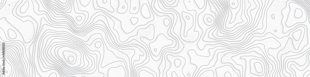 Fototapeta premium Topographic line contour map background, geographic grid map, Topographic map seamless pattern, topography line vector illustration of topographic line contour map, black-white design, Luxury black.