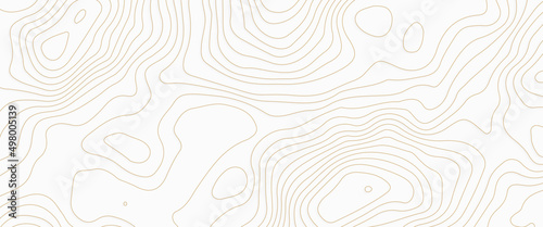 Abstract stylized topographic contour elevation in lines and contours, the concept map of a conditional geography scheme and the terrain path, vector illustration of topographic line contour map. 