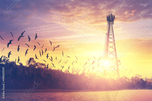 silhouette transmission tower and birds flying at sunset background.
