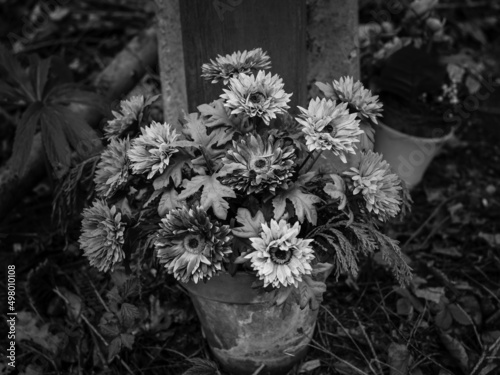 Photo Artificial Flowers Melancholy Still Life Monochrome Black and White