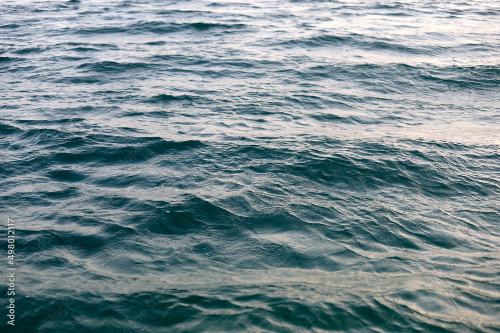 Close-up Sea surface and small fish for background.