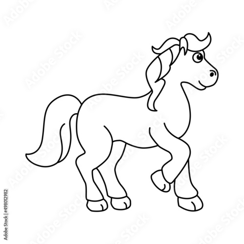 Vector illustration of horse isolated on white background. For kids coloring book.