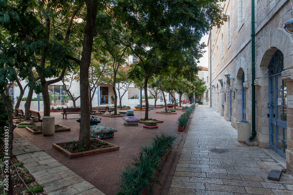 Fototapeta premium Palm trees in the city 