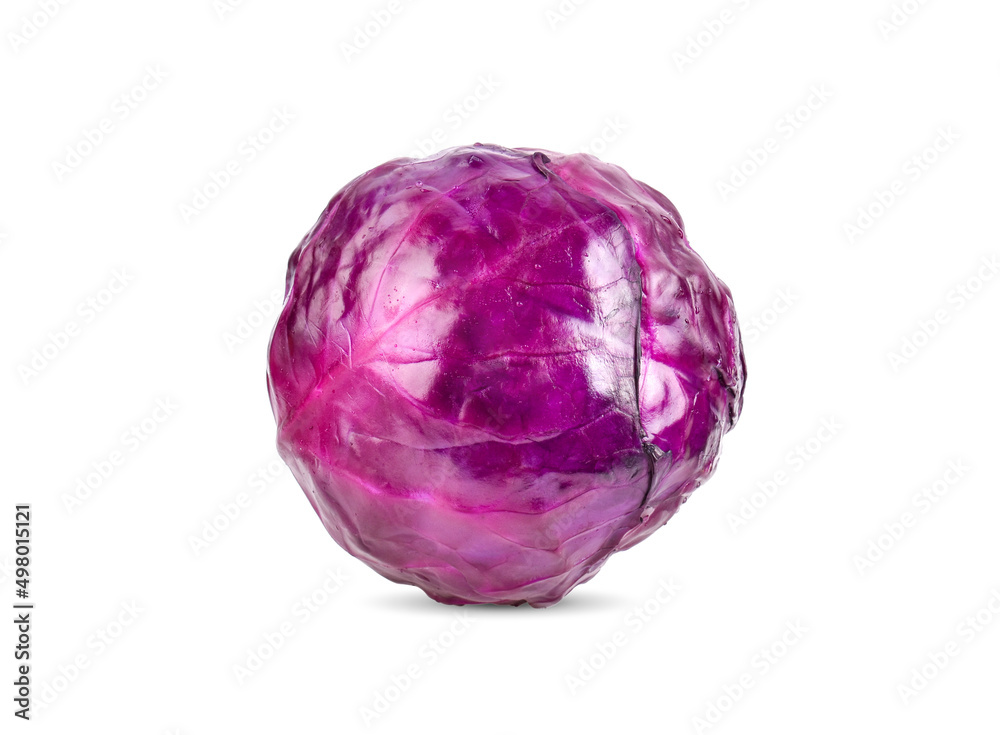 Purple cabbage on white background Purple cabbage on white background