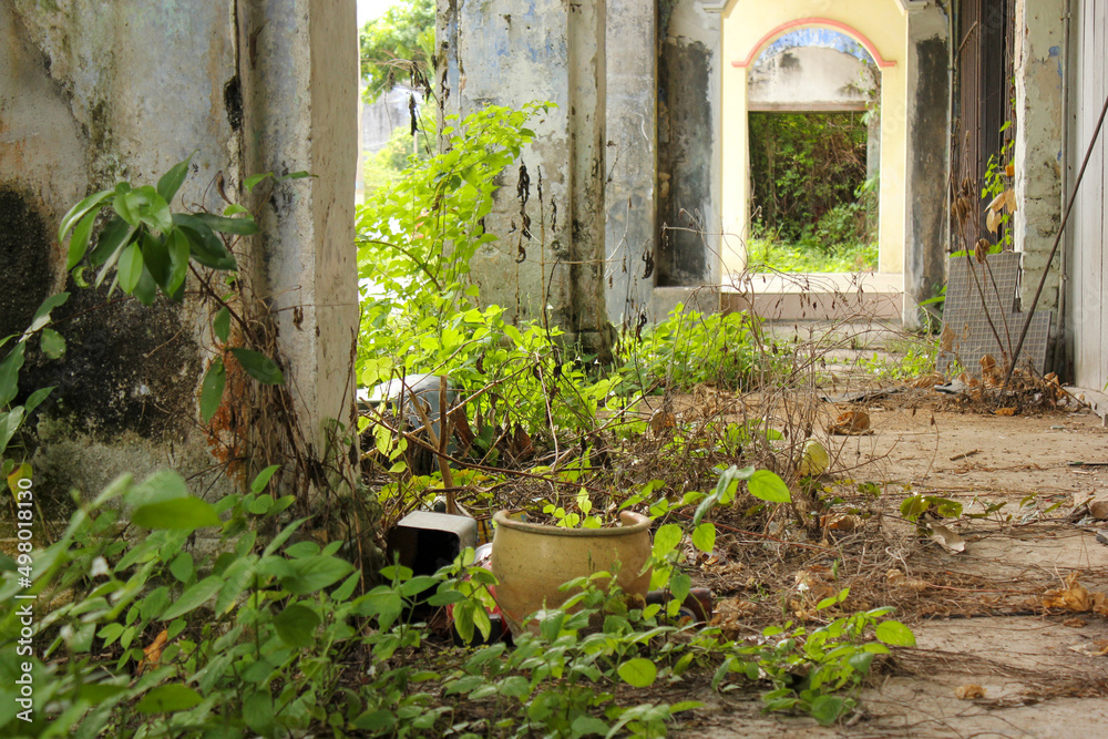 Ruins of an old sidewalk overgrown with green plants in the heritage town of Jalan Papan in Ipoh in Malaysia.