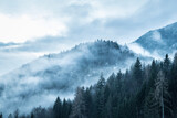 fog in mountains