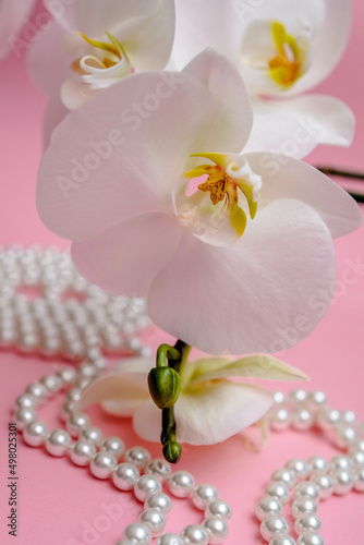 Fototapeta Naklejka Na Ścianę i Meble -  Pearl necklace and white orchid on pink background
