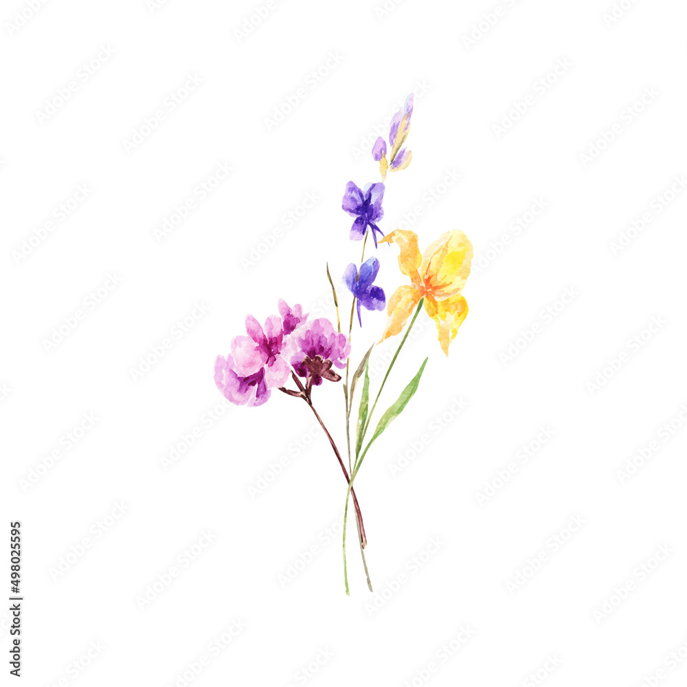 Decoration isolated on white background, bouquet of wild composition.Watercolor bouquet of spring flowers.For Mother's Day, wedding, birthday, Easter, Valentine's Day. Decoration isolated on white background, bouquet of wild composition.Watercolor bouquet of spring flowers.For Mother's Day, wedding, birthday, Easter, Valentine's Day.