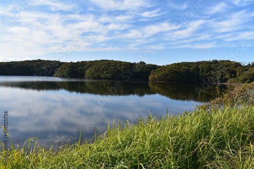 Fototapeta Naklejka Na Ścianę i Meble -  池に映る空模様と雑草と森林