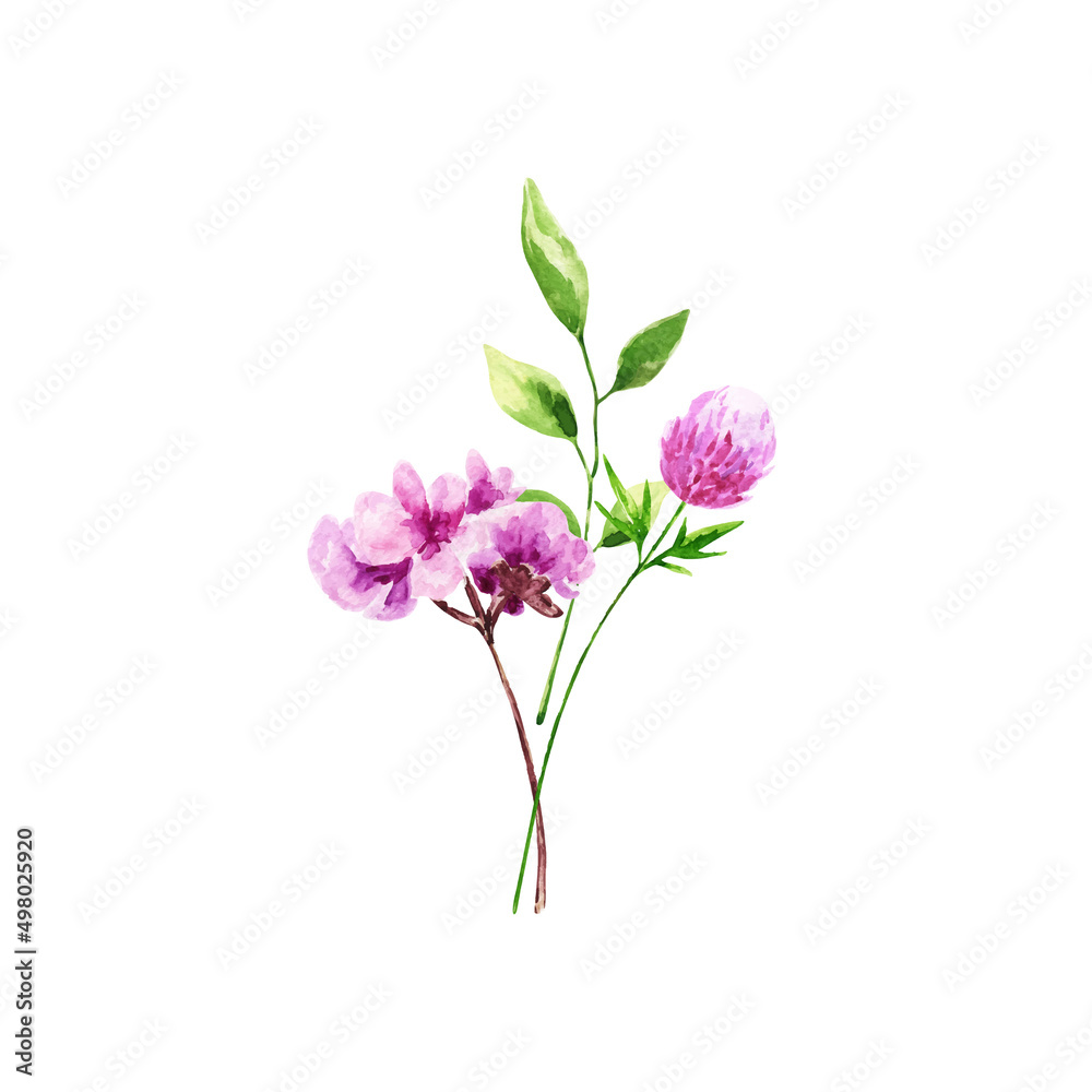 Decoration isolated on white background, bouquet of wild composition.Watercolor bouquet of spring flowers.For Mother's Day, wedding, birthday, Easter, Valentine's Day. Decoration isolated on white background, bouquet of wild composition.Watercolor bouquet of spring flowers.For Mother's Day, wedding, birthday, Easter, Valentine's Day.