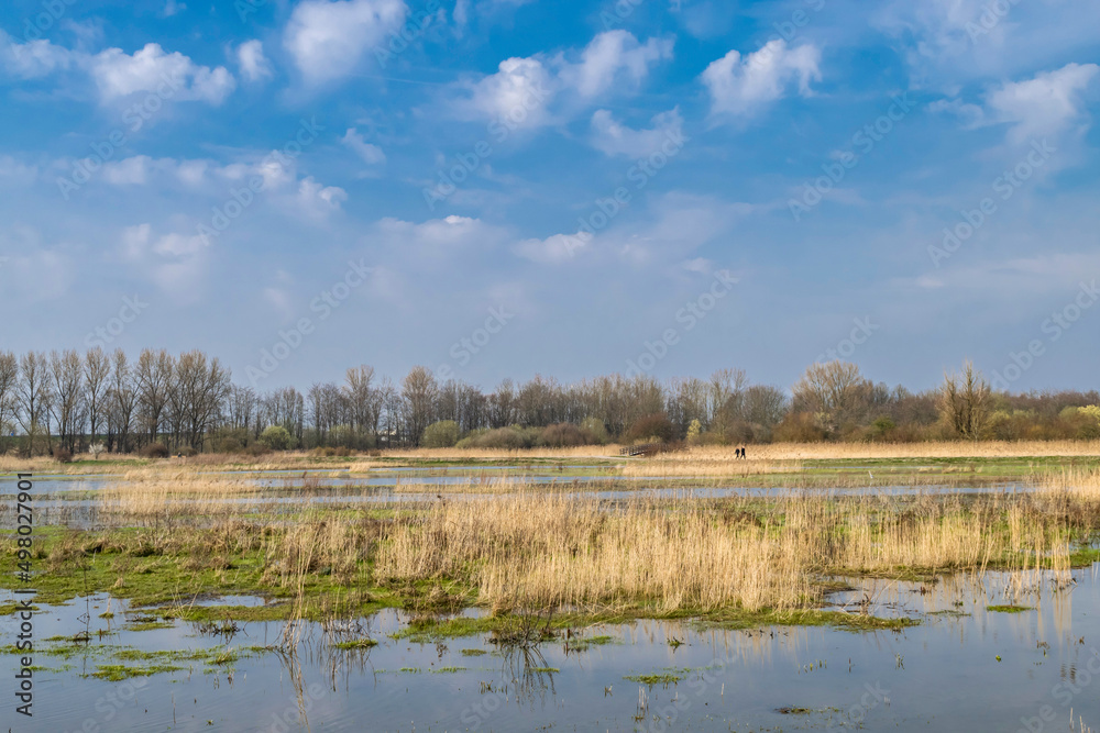 Spring beautiful panoramic landscape with swampy lake, sunlight and bright blue sky. Nature Kromslootpark in Almere, province Flevoland, Netherlands. Spring beautiful panoramic landscape with swampy lake, sunlight and bright blue sky. Nature Kromslootpark in Almere, province Flevoland, Netherlands.