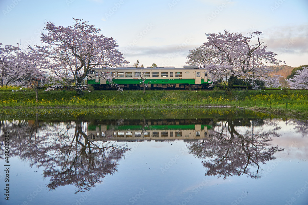 桜の水鏡とレトロ列車　小湊鉄道　飯給駅