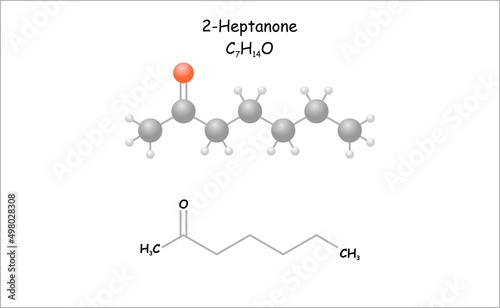 Stylized molecule model/structural formula of 2-Heptanone. Use as coating material and natural component of mold odor.