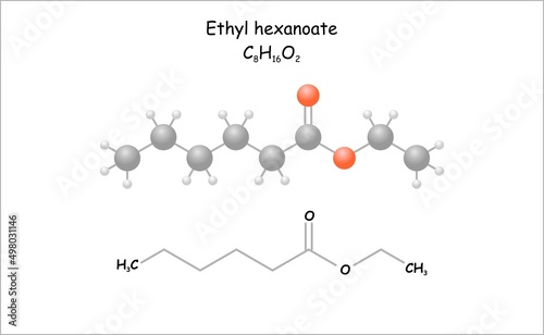 Stylized molecule model/structural formula of ethyl hexanoate. Use as flavoring component for food.