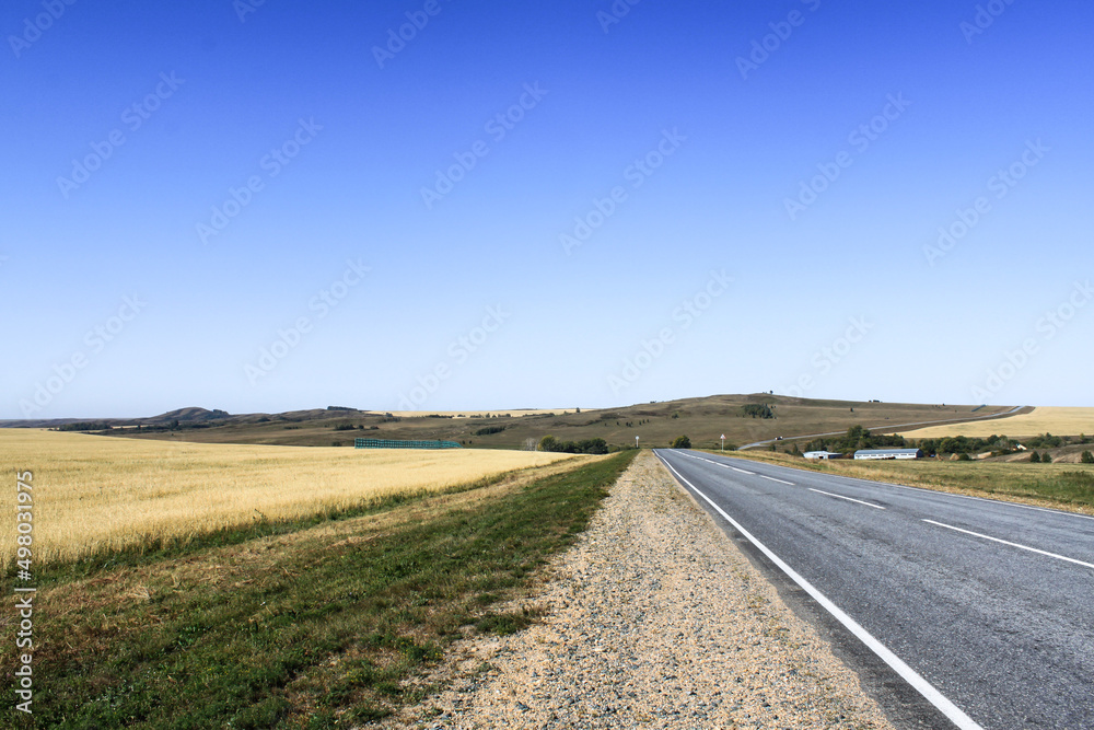 Empty asphalt road between steppes on a background of blue sky in the village of Savvushki, Gorny Altai, Siberia, Russia. Summer time