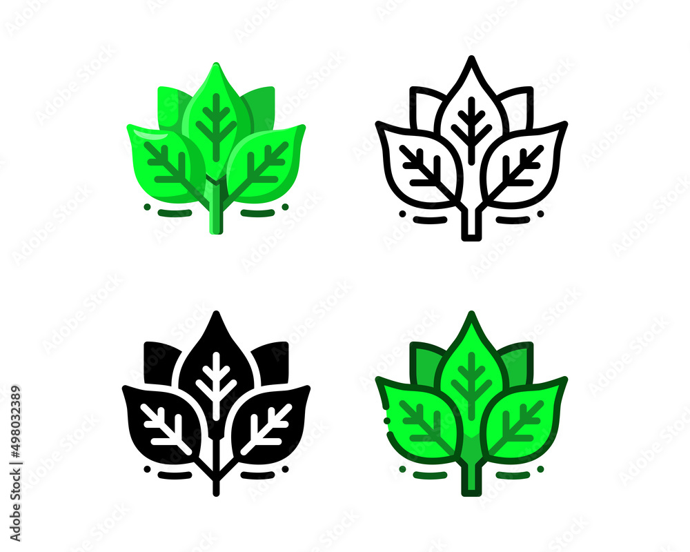Spinach icon. With outline, glyph, filled outline and flat styles Spinach icon. With outline, glyph, filled outline and flat styles