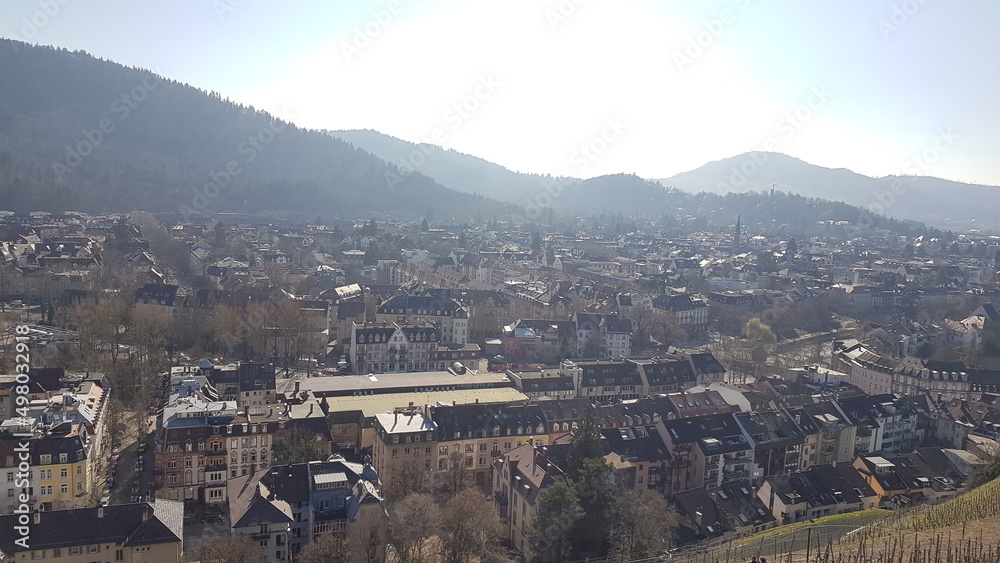 panorama of the city freiburg im breisgau