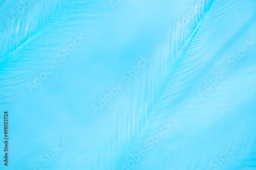 Abstract blurred blue background, plants
