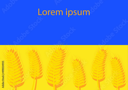 illustration Wheat on national flag of Ukraine.