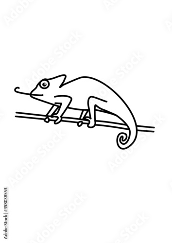 silhouette of a chameleon