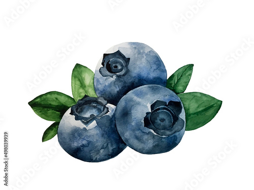 Print op canvas Juicy watercolor blueberries