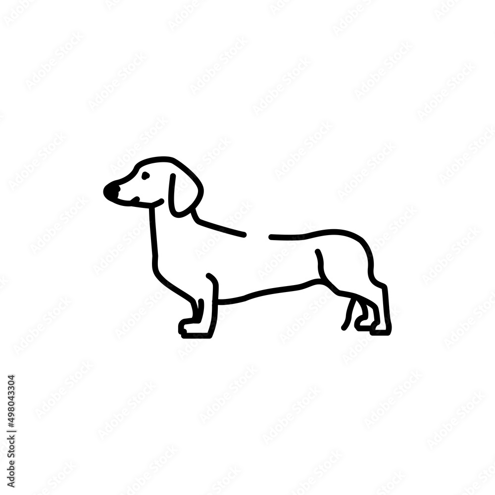 Dachshund color line icon. Dog breed.