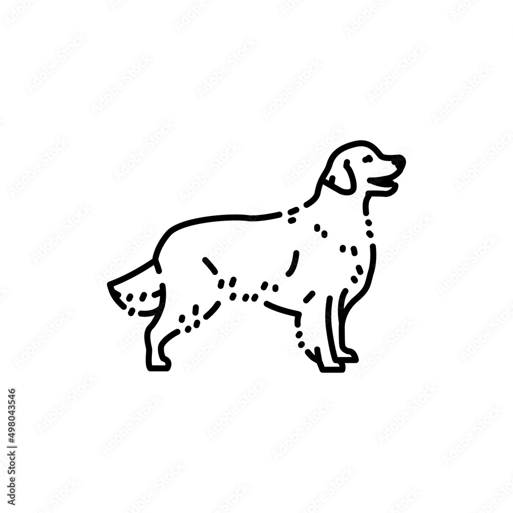 Golden retriever color line icon. Dog breed.