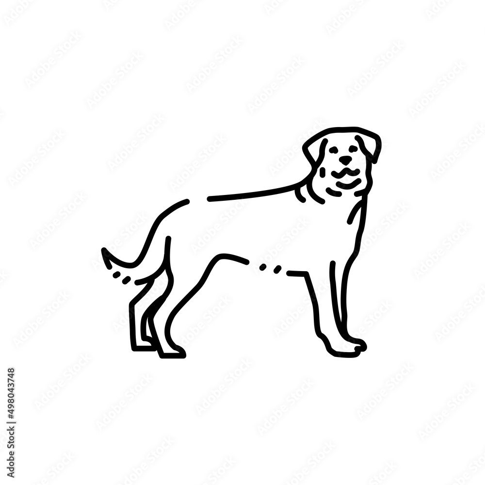 Rottweiler color line icon. Dog breed.