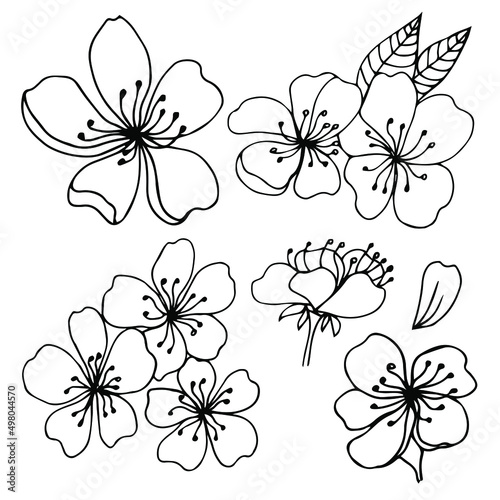 Canvas Print Sakura flowers blossom set, hand drawn line ink style