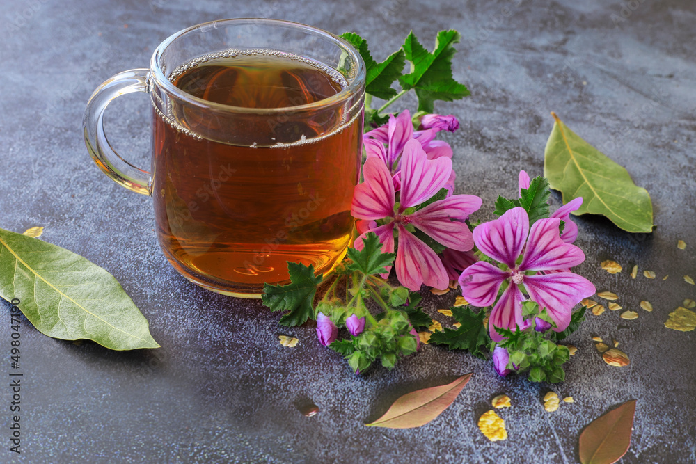 mallow herb and mallow flower tea in cup.