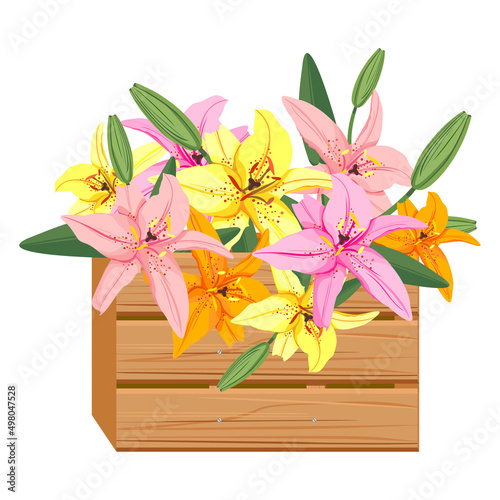 Wooden box with lilies. Vector illustration of lilies in a box.